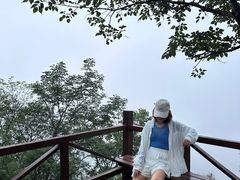 -大岭沟猕猴桃谷风景区