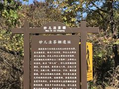 -阳台山自然风景区