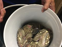 -海九澎湖海鲜餐厅