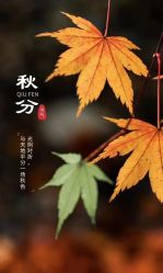 -雅曼妮spa美容养生