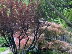 -幕燕滨江·燕子矶公园