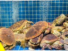 -大锅强·蒸海鲜青岛菜(吾悦广场店)