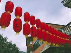 -衢州大荫山丛林飞越探险乐园