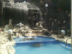 -100蛋泥浆浴