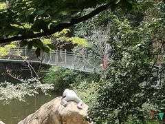 -湖洞水自然风景区