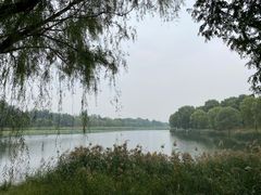-南海子公园