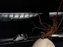 -元白和创园展厅