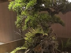 -湘邻呷铺·田园家宴(汉基广场店)