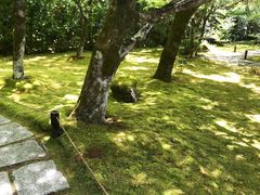 -西芳寺(苔寺)