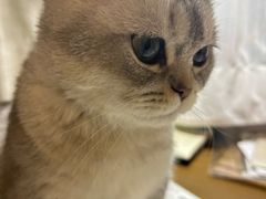 -中农国际动物医院24小时·猫科·骨科·急重症中心