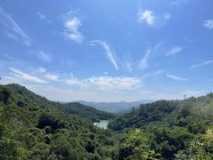 -广州白江湖森林公园