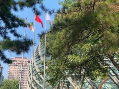-凤凰中心