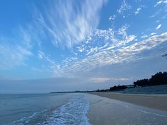 -日照海滨国家森林公园