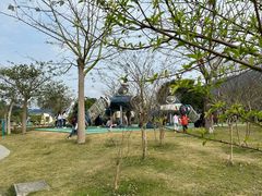 -森波拉奇妙世界