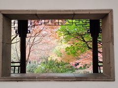 -秋霞圃