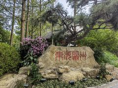 -东平国家森林公园