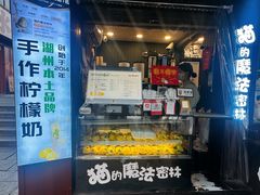 -猫的魔法密林(衣裳街店)