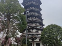 -洋湖国家湿地公园