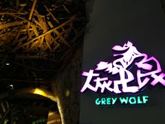 -大灰狼(中心书城店)
