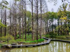 -杭州植物园