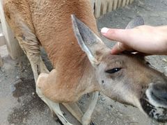 -水上乐园·欢乐世界