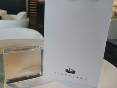 -BLACKSWAN黑天鹅(环球店)