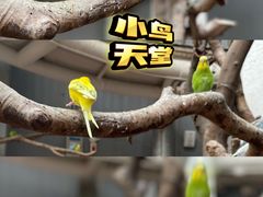 -正佳雨林生态植物园