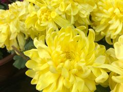 -济南方特东方神画