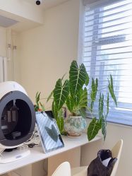 -安那般那皮肤年轻化ANAPANA