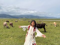 -新疆那拉提国家旅游度假区