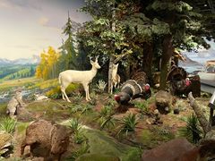 -陕西自然博物馆