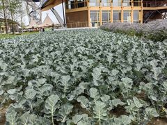 -中国天府农业博览园