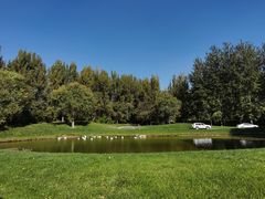 -北京野生动物园