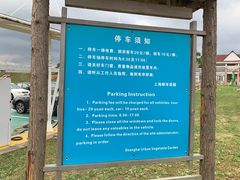 -上海都市菜园