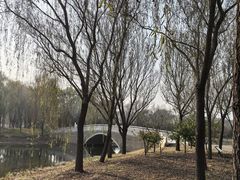 -东郊湿地公园