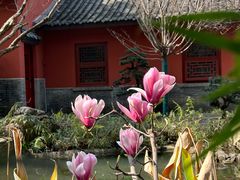 -成都武侯祠博物馆