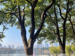 -食膳公园包子铺(烈士公园店)