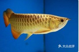 周末期间宁波外卖吃点什么呢