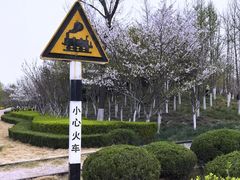 -红莲湖