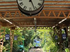 -神户市立六甲山牧场