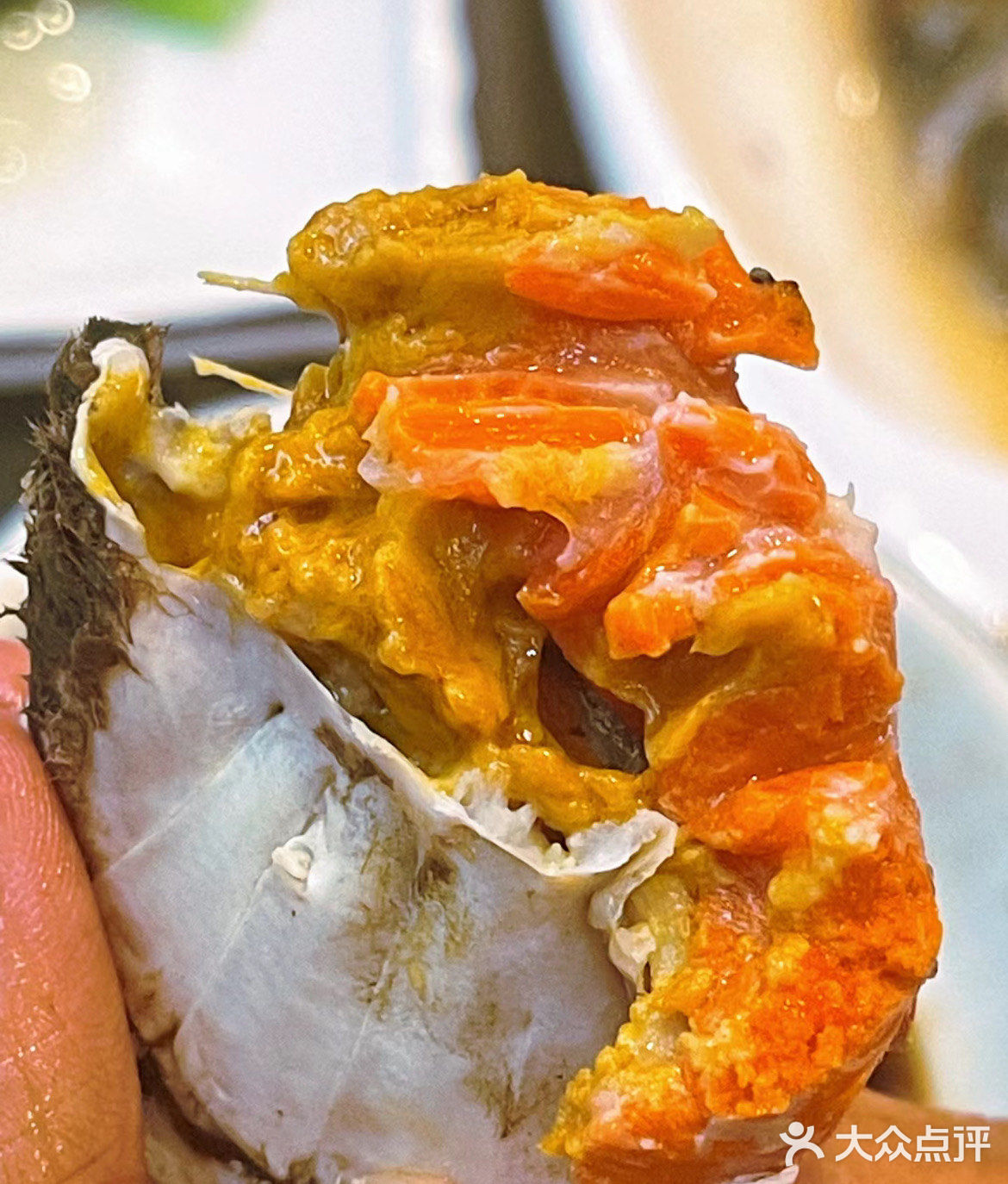 螃蟹🦀五个部位都不能吃❌