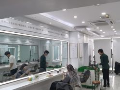 -镁连社·美联社