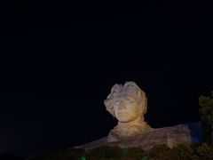 -阿捡忭京炸鸡(长沙韭菜园总店)