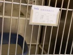 -萌兽医馆·犬猫专科·眼科中心·宠物医院(朝阳门分院)