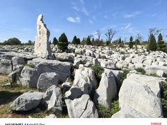 -原山国家森林公园