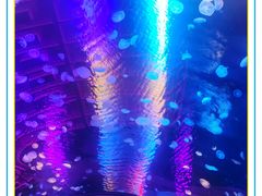 -欢乐海岸海洋奇梦馆