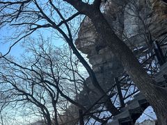 -大芦花风景区