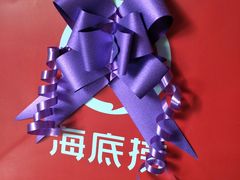 -海底捞火锅(海宁路店)