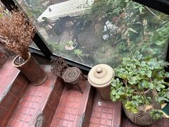 -古董花园(思南路42弄小区店)