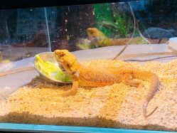 -酷嗒动物文化乐园(cutezoo西溪乐天城店)